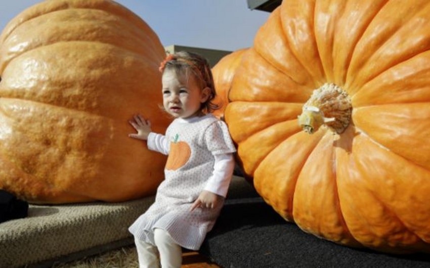 U.S. farmer wins giant pumpkin contest with $12,000