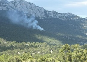 Antalyada meşə yanır