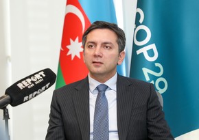 COP29 lead negotiator: Azerbaijan determined to achieve its energy transition goals