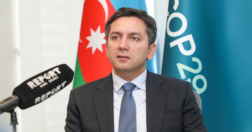 COP29 lead negotiator: Azerbaijan determined to achieve its energy transition goals