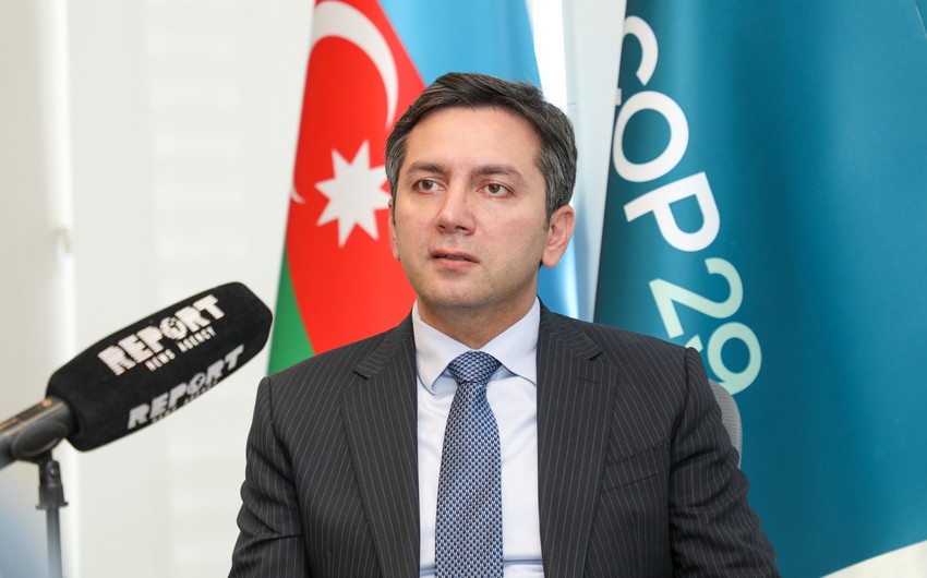 COP29 lead negotiator: Azerbaijan determined to achieve its energy transition goals