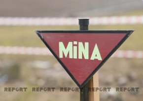 ANAMA: На освобожденных территориях обнаружено еще 327 мин