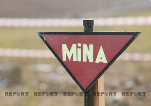 Аппарат омбудсмена распространил заявление в связи с обнаруженным на высоте Сарыбаба минным полем