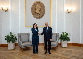 Azerbaijan, Albania mull cooperation priorities