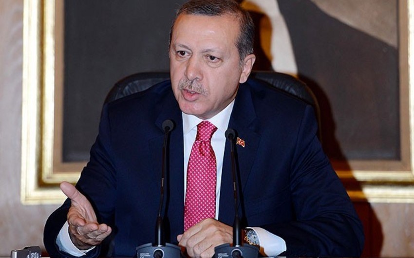 Президент Турции раскритиковал австрийский Закон об исламе