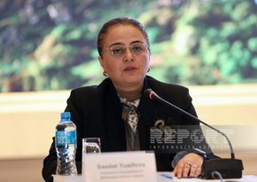 Deputy Minister: None of Islamic monuments in Armenia listed as heritage of Azerbaijan