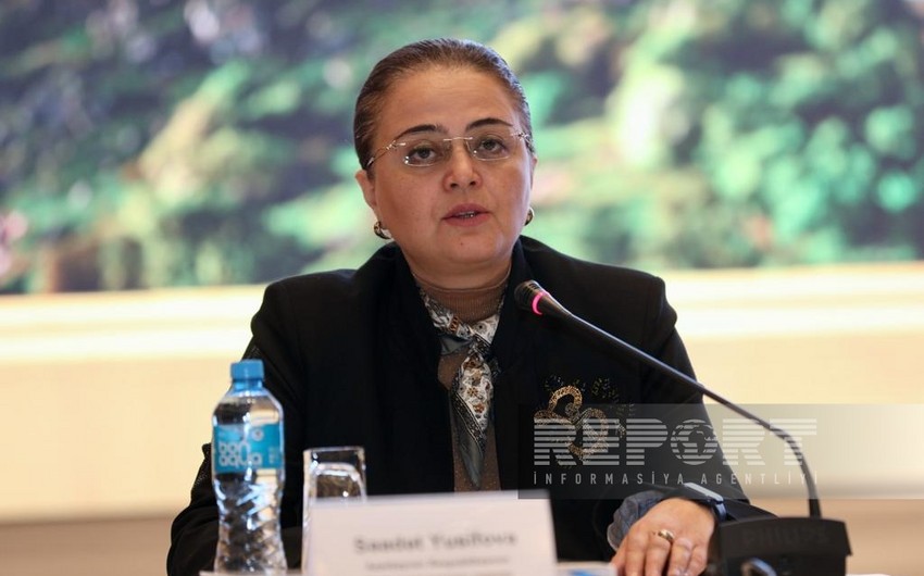Deputy Minister: None of Islamic monuments in Armenia listed as heritage of Azerbaijan