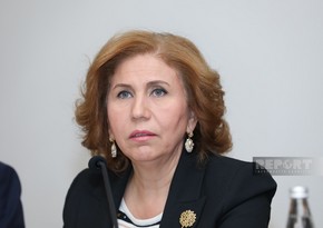 Bahar Muradova: Məişət zorakılığı ilə bağlı yeni fəaliyyət planı üzərində işləməliyik