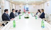 Azerbaijan, Albania discuss parliamentary co-op