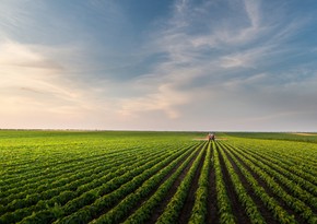 Аграрный сектор Азербайджана вырос на 6%