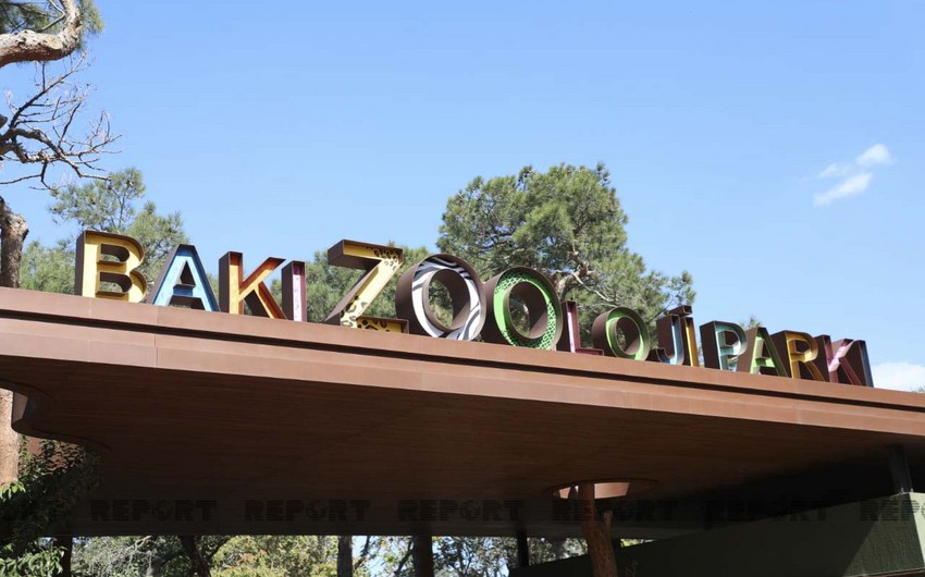 Bakı Zooloji Parkı ziyarətçilər üçün açılıb