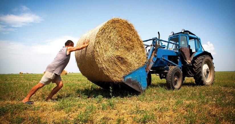 В Азербайджане выросло число желающих получить субсидии фермеров 