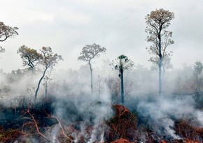 Boliviyada yanğınlar 10 milyon hektardan çox bitki örtüyünü məhv edib