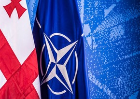 Упоминания о возможности вступления Грузии в НАТО исключены из декларации саммита Альянса