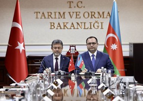 Minister: Azerbaijan stands for expanding exports of agricultural products to Türkiye and Europe