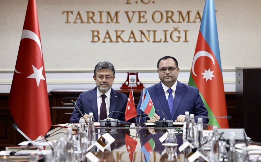 Minister: Azerbaijan stands for expanding exports of agricultural products to Türkiye and Europe
