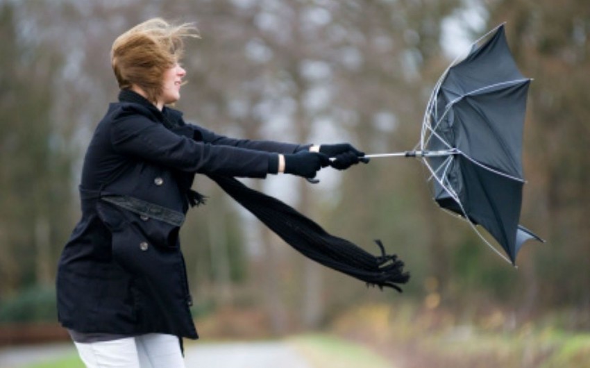 Минэкологии предупреждает об ожидаемом сильном ветре