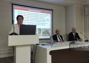 ANAS Vice President: There are many useful plants in Karabakh