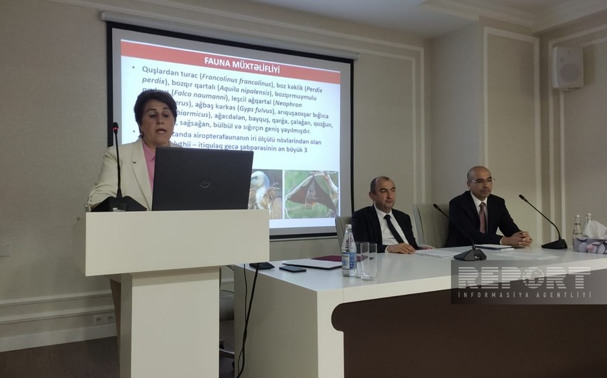 ANAS Vice President: There are many useful plants in Karabakh