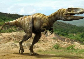 Uelsdə dördyaşlı qız 200 milyon il yaşı olan dinozavrın izini tapdı