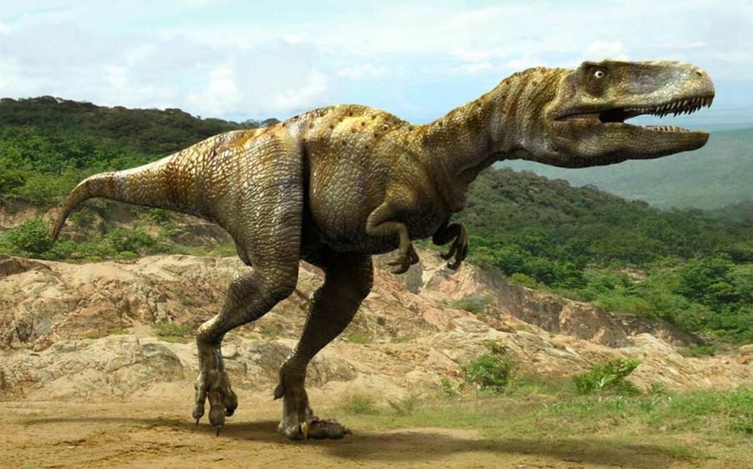 В Уэльсе четырехлетняя девочка наткнулась на след динозавра