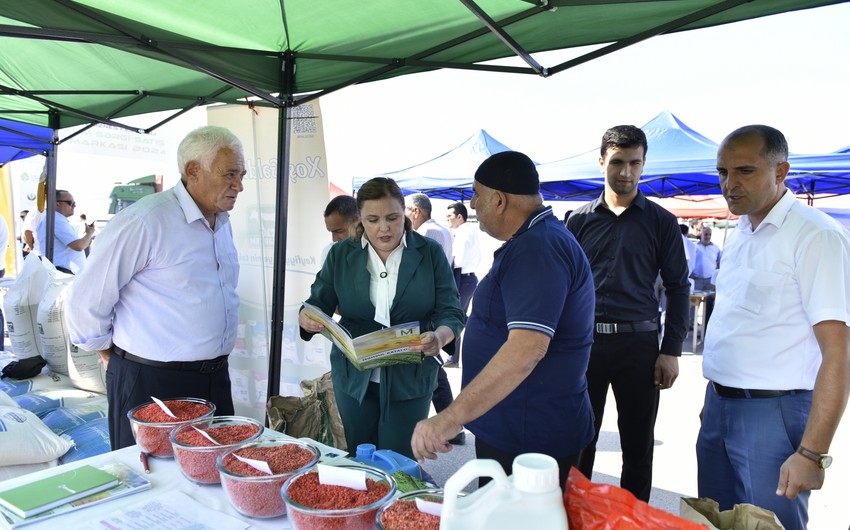 Ağsu və Zərdabda növbəti toxum sərgi-satış yarmarkaları keçirilib