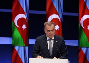Azerbaijani FM makes speech at Nuclear Energy Summit  
