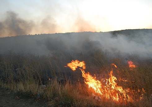 В Лерике произошел лесной пожар 