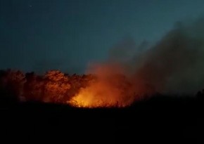 На азербайджано-иранской границе произошел пожар