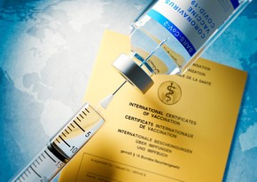 В Германии выросло число случаев подделки паспортов вакцинации