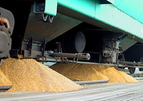 Kazakhstan, Russia to mull tariffs on transit of Russian grain