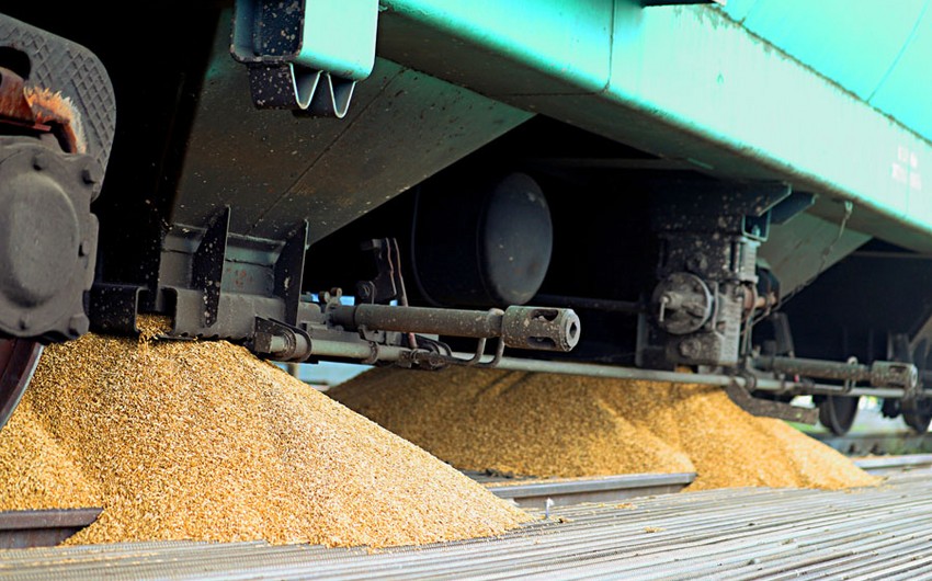 Kazakhstan, Russia to mull tariffs on transit of Russian grain