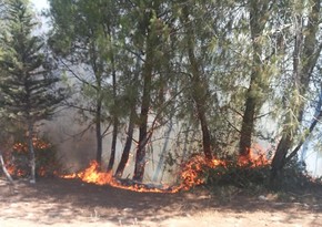 Nearly 4,000 residents evacuated due to fires in Türkiye