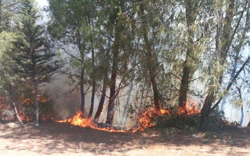 Nearly 4,000 residents evacuated due to fires in Türkiye