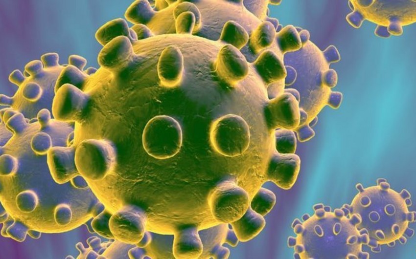 Research: Coronavirus persists in air during 30 minutes