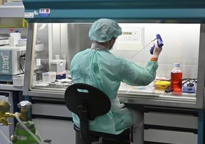 В Германии зафиксировали новый антирекорд по числу случаев заражения COVID-19