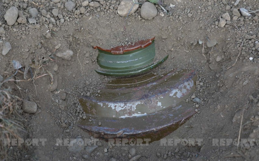 В Шушинском районе обнаружено 1,6 тыс. мин и боеприпасов