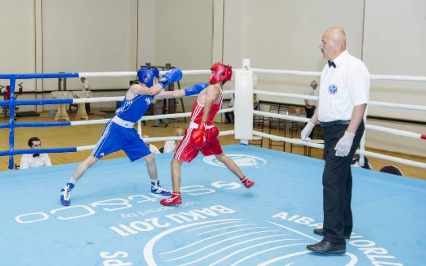 Azərbaycan boksçuları Naxçıvanda keçirilən Heydər Əliyev Kubokunda 19 medal qazanıblar