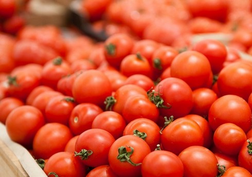 Доходы Азербайджана от экспорта помидоров снизились на 26%