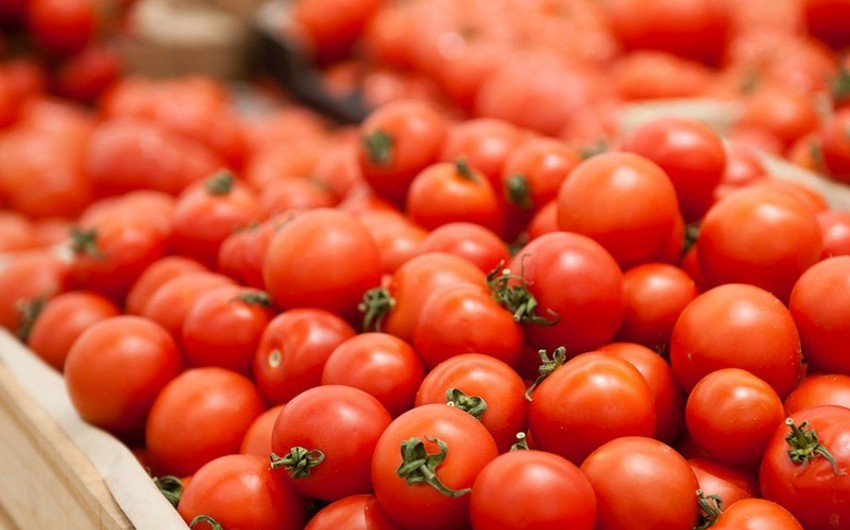 Azerbaijan's tomato export revenues down 26%