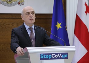 Georgian FM resigns