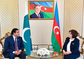 Speaker of Azerbaijani Parliament meets with Pakistani counterpart 