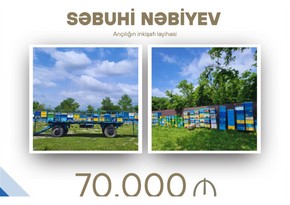 Azərbaycanda arıçılıqla bağlı layihəyə 70 min manat güzəştli kredit verilib