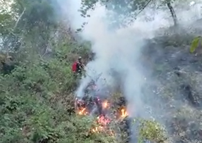 Work to extinguish wildfire in Azerbaijan's Masalli district continues