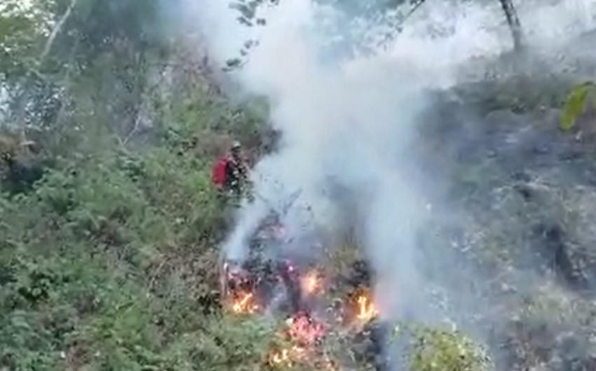 Work to extinguish wildfire in Azerbaijan's Masalli district continues