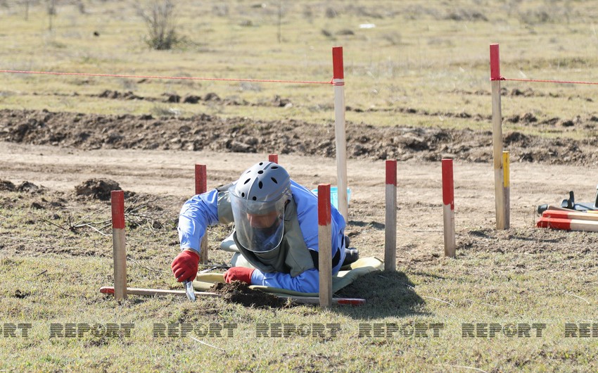 Over 30,500 mines found in liberated territories 