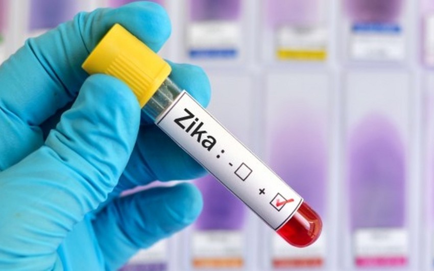 Группа китайских и французских ученых разработала рекомбинантную вакцину от вируса Зика