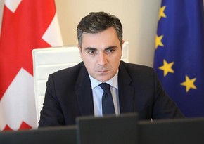 Georgian FM: Authorities ready to ensure free elections in 2024
