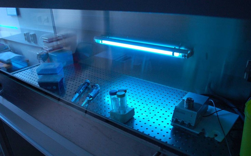 Ученые разработали светильник, убивающий коронавирус