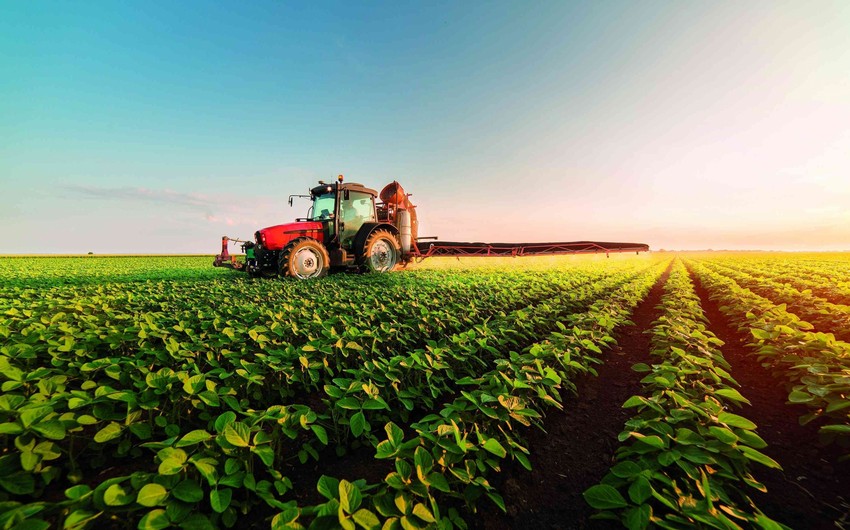 Azerbaijan’s agricultural production increases slightly